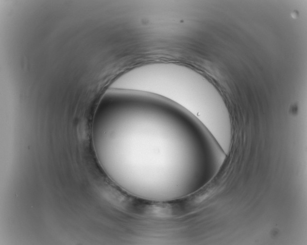X0000091860317200709051002