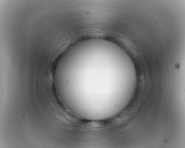 X0000091860320200709051002