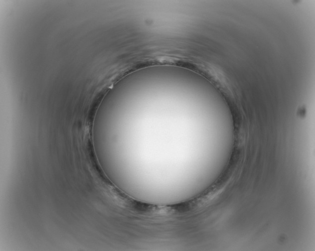 X0000091860321200709051002