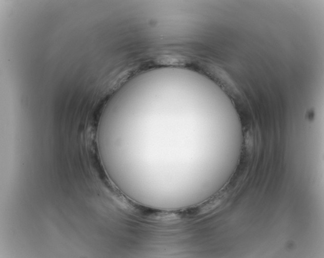 X0000091860322200709051002