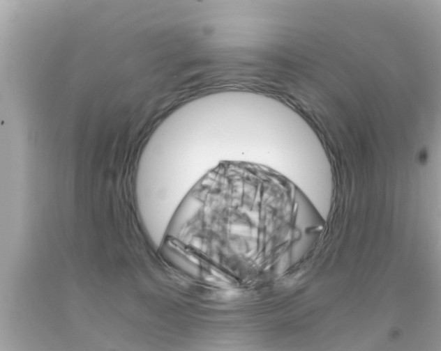 X0000091860323200709051002