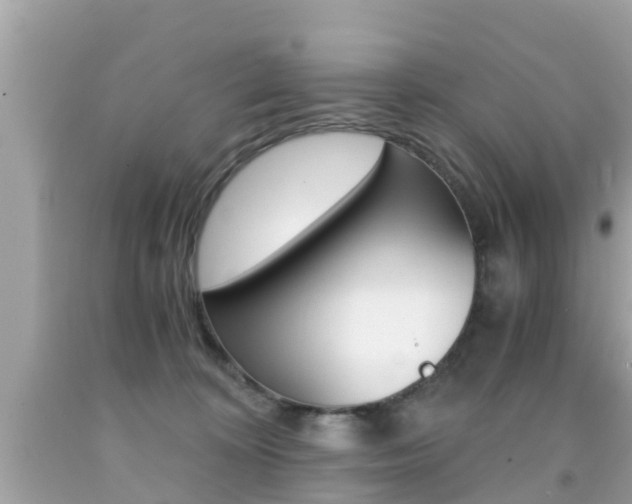 X0000091860324200709051002