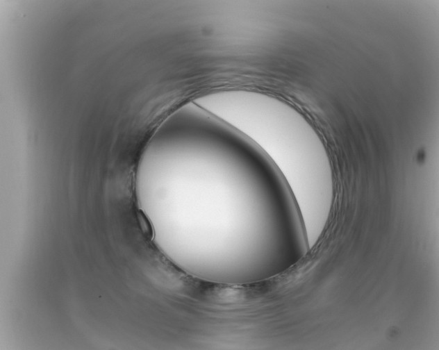 X0000091860325200709051002