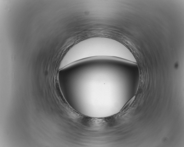 X0000091860333200709051002