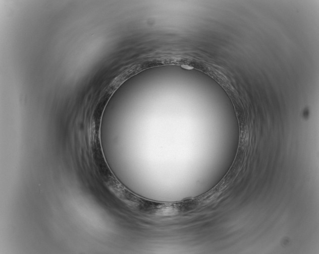 X0000091860335200709051002