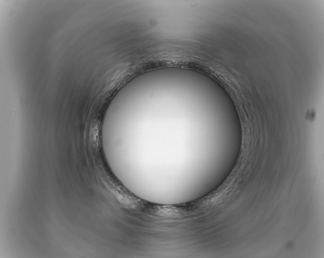 X0000091860336200709051002