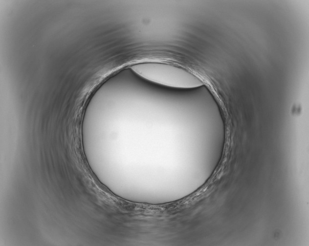 X0000091860337200709051001