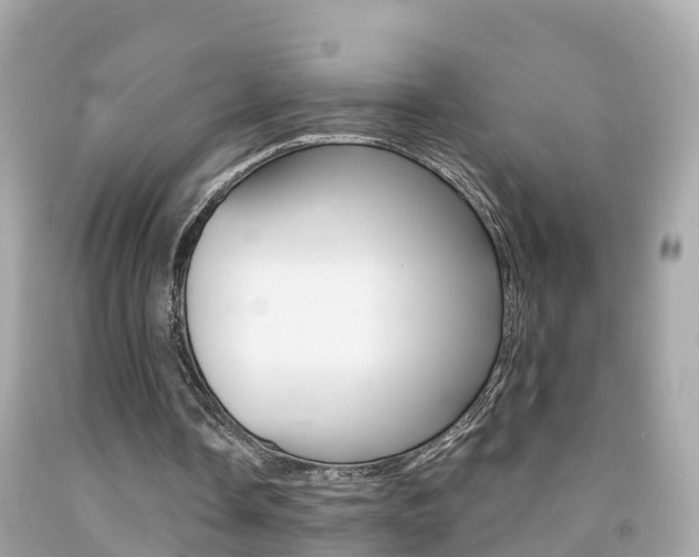 X0000091860338200709051001