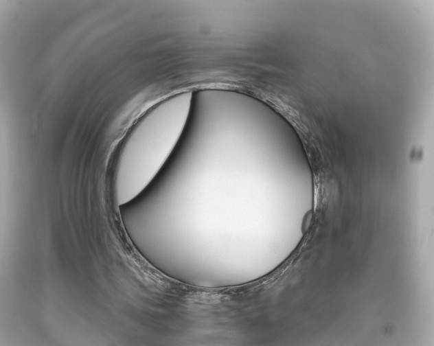 X0000091860339200709051001