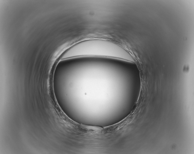 X0000091860340200709051001