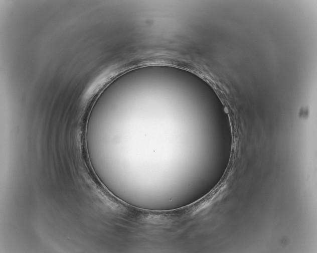 X0000091860341200709051001