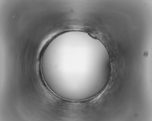X0000091860342200709051001