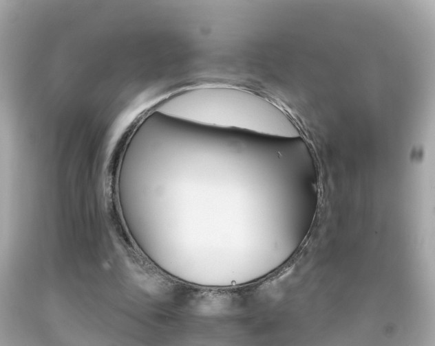 X0000091860343200709051001