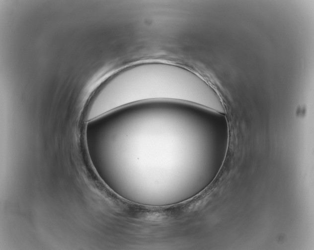 X0000091860344200709051001