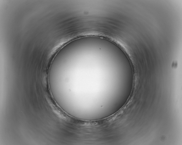 X0000091860345200709051001