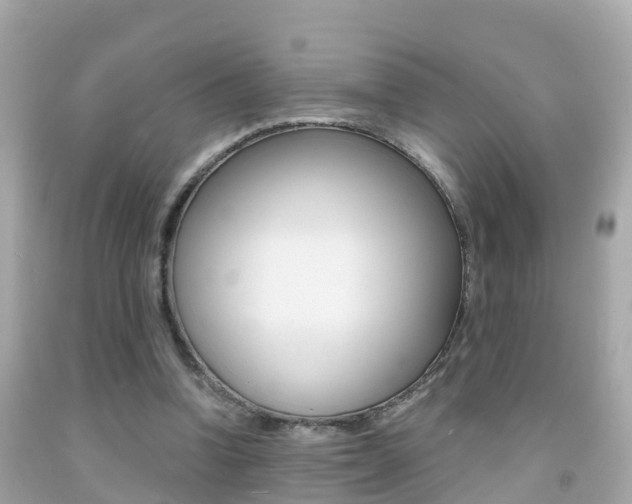 X0000091860346200709051001