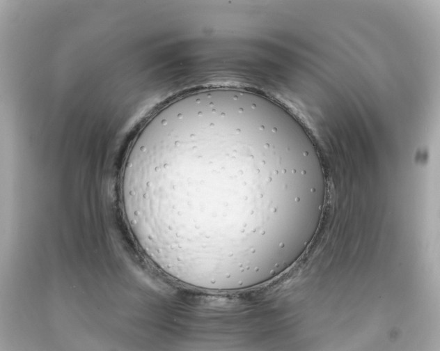 X0000091860347200709051001