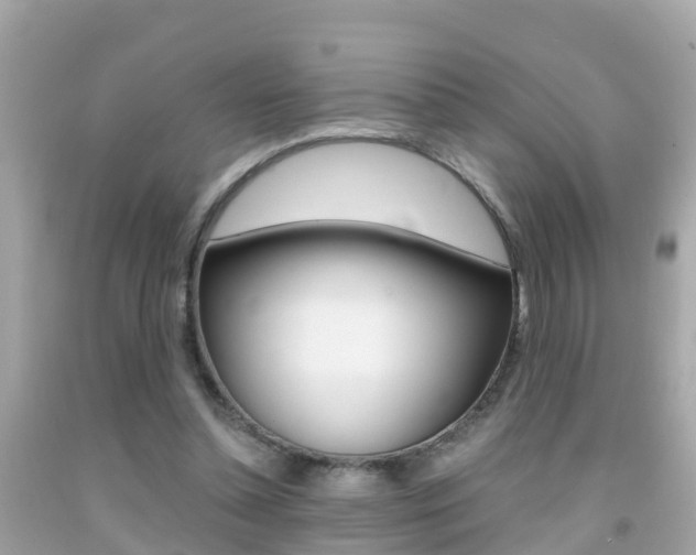 X0000091860348200709051001
