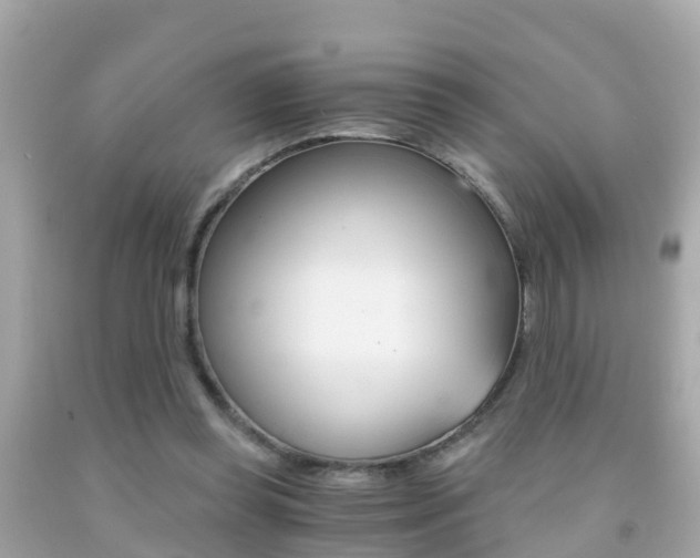X0000091860349200709051001