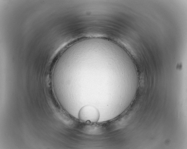 X0000091860351200709051001