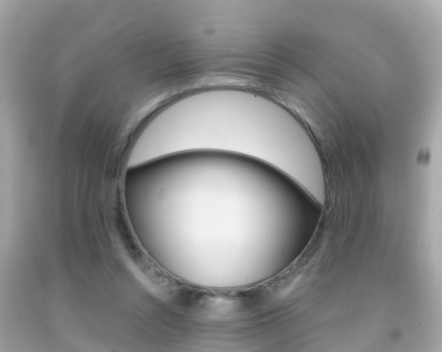 X0000091860352200709051001
