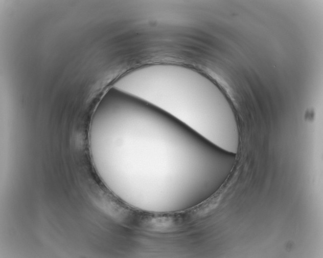X0000091860353200709051001