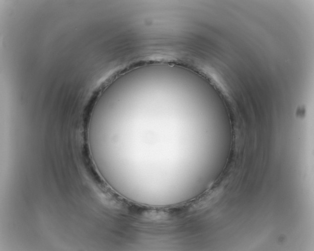 X0000091860354200709051002
