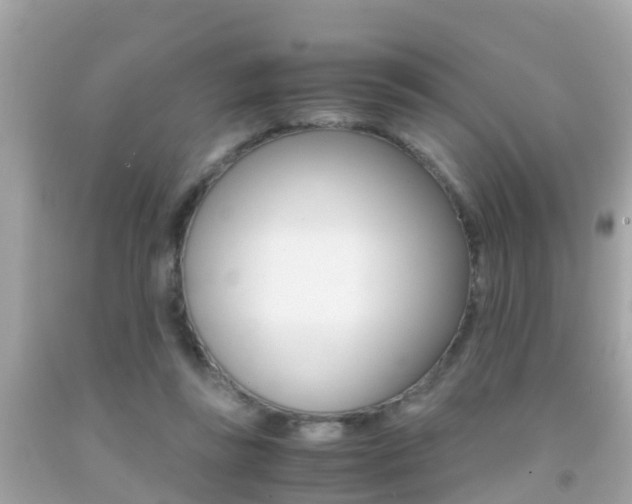 X0000091860355200709051002