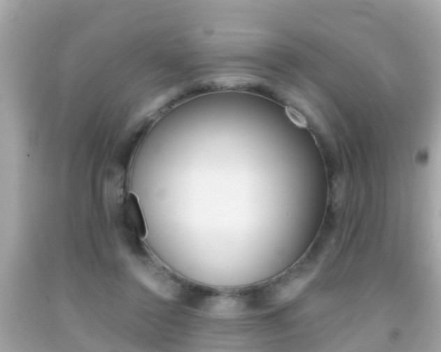 X0000091860356200709051002