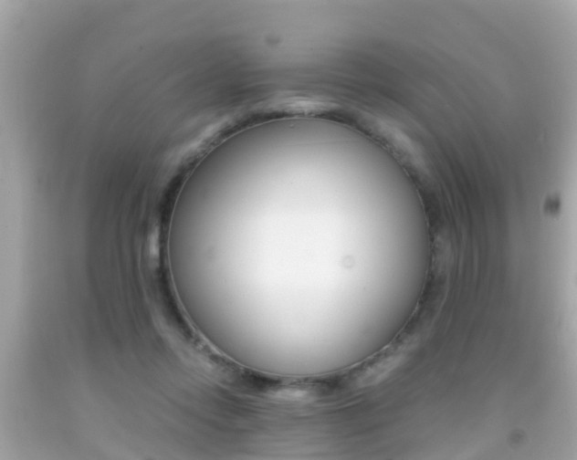 X0000091860358200709051002