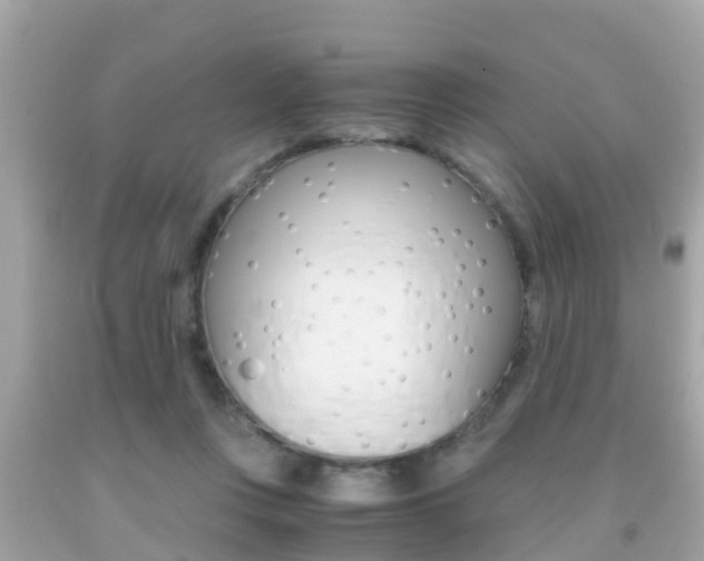 X0000091860359200709051002