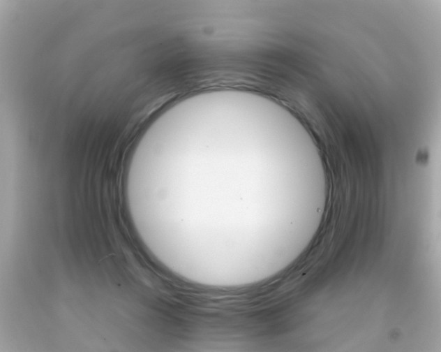 X0000091860360200709051002