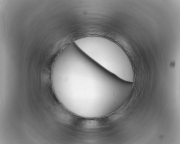X0000091860361200709051002