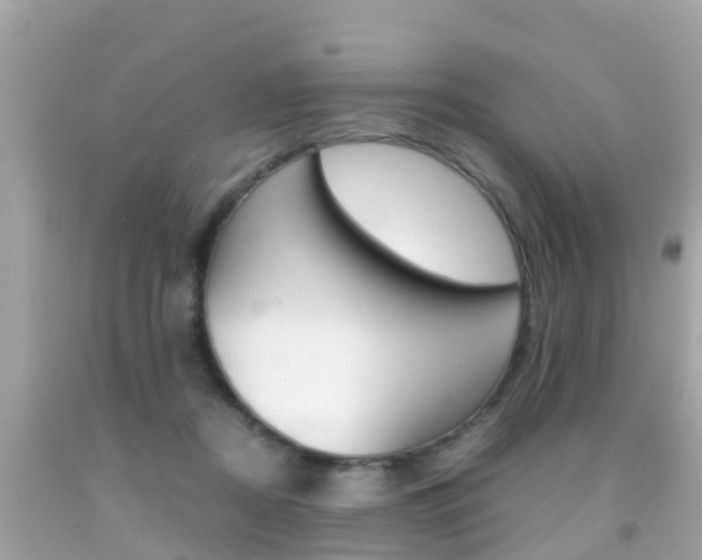 X0000091860362200709051002
