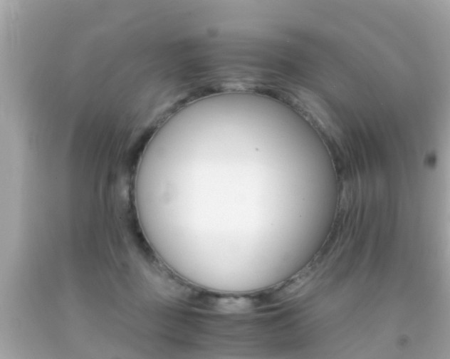 X0000091860363200709051002
