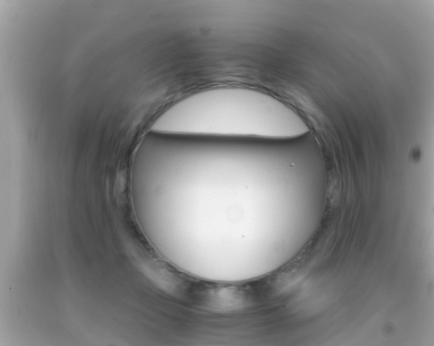 X0000091860365200709051002