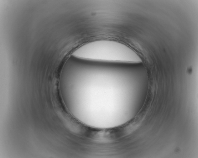 X0000091860366200709051002