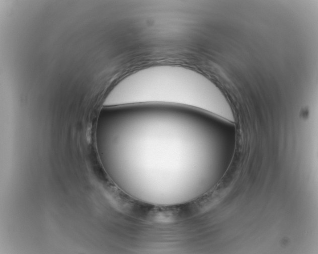 X0000091860368200709051002