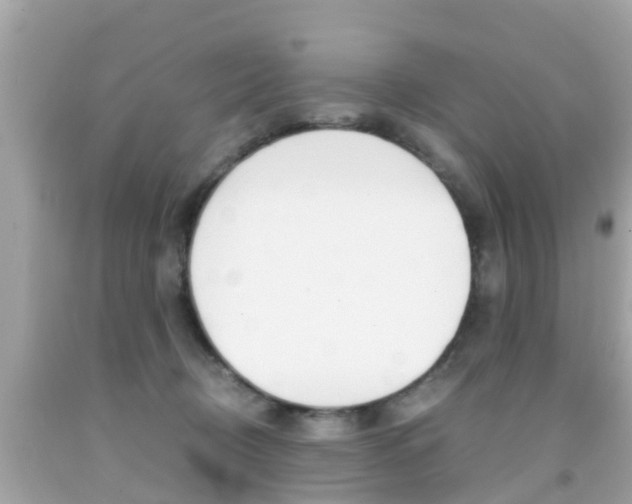 X0000091860370200709051002