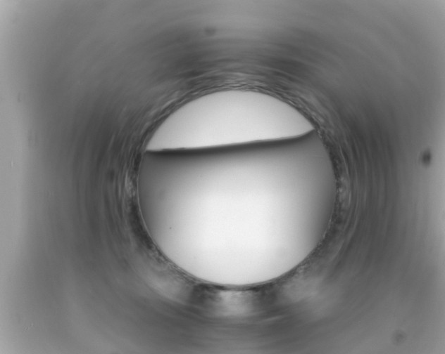 X0000091860371200709051002