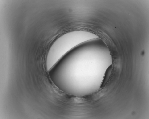 X0000091860372200709051002