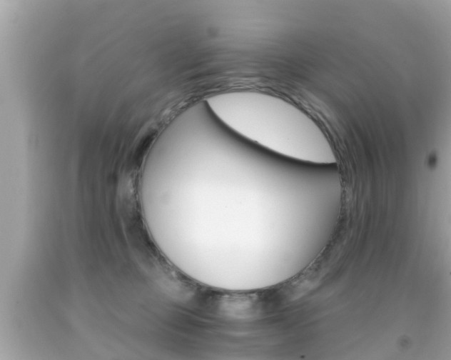 X0000091860373200709051002
