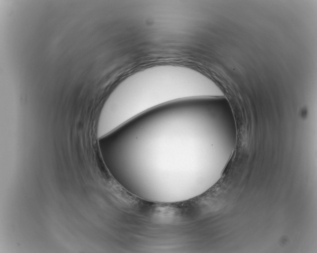 X0000091860376200709051002