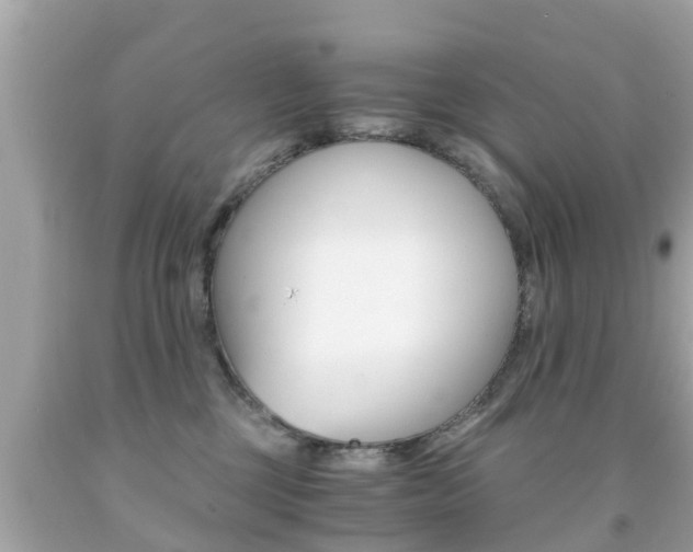X0000091860377200709051002