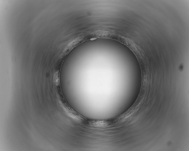 X0000091860383200709051002