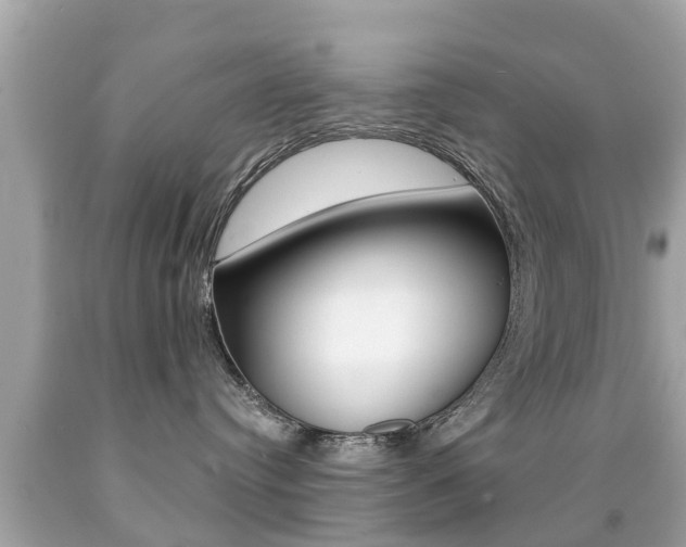 X0000091860384200709051002