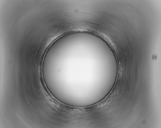 X0000091860386200709051001