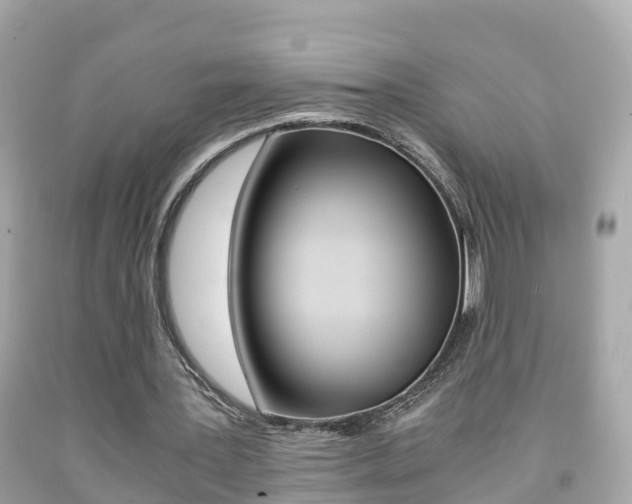 X0000091860387200709051001
