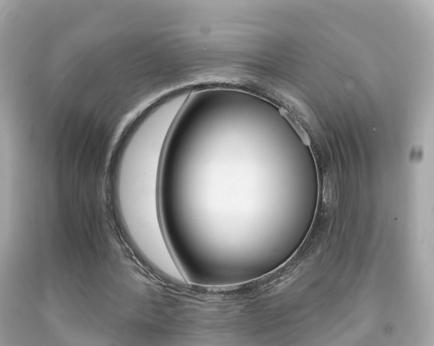 X0000091860388200709051001