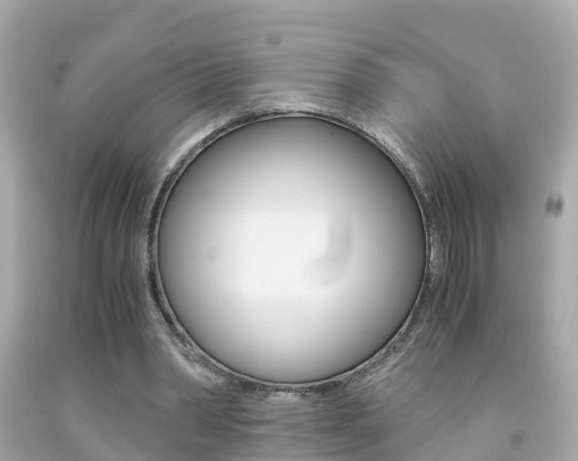 X0000091860390200709051001